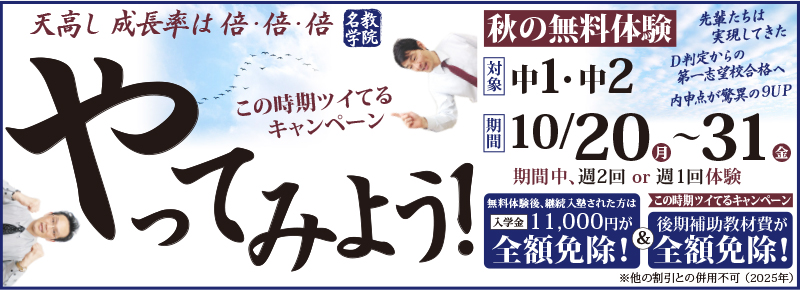 やってみよう！